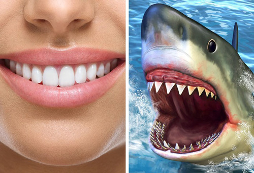 10 khuyết điểm về cấu tạo cơ thể khiến con người gặp vố số rắc rối - 2