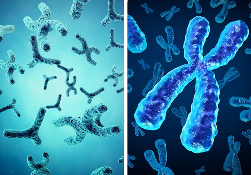 10 khuyết điểm về cấu tạo cơ thể khiến con người gặp vố số rắc rối - 10