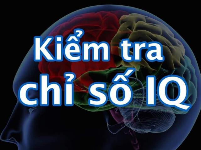 Giáo dục - du học - Kiểm tra khả năng tư duy, đánh giá chỉ số IQ của bạn bằng 6 câu hỏi sau