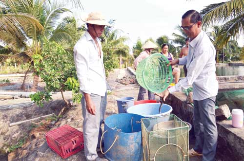 Chuyện làm giàu: Ngôi &#34;vua cá chình&#34; phải đánh đổi bằng 50 cây vàng - 1