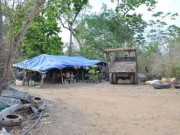 Pháp luật - Triệt phá đường dây gỗ lậu của trùm Phượng &quot;râu&quot;