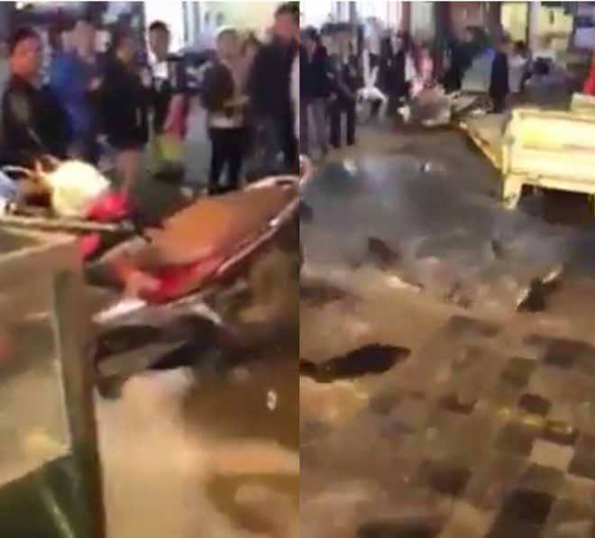 Thực hư Chủ tịch huyện Sa Pa đập phá bể cá của người dân - 1