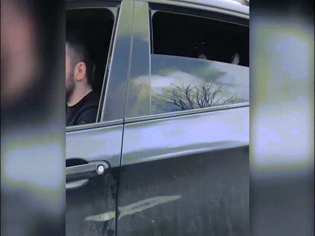 Thế giới - Video: Mở cửa sổ xe hơi, lộ ra con hổ khổng lồ ở ghế sau