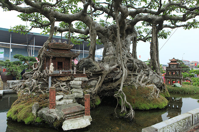 Đại gia Hà Nội đổi 10 cây vàng lấy sanh cổ gây “chấn động” một thời - 4