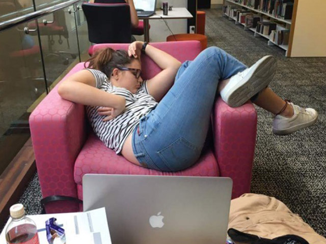 Tranh vui - Những tư thế ngủ "không cần quy củ" ở khắp mọi nơi