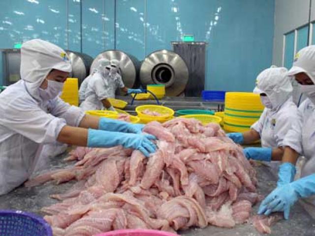 Thị trường - Tiêu dùng - Quản lý thủy sản xuất khẩu: Hết thời "coi rẻ" thị trường Trung Quốc
