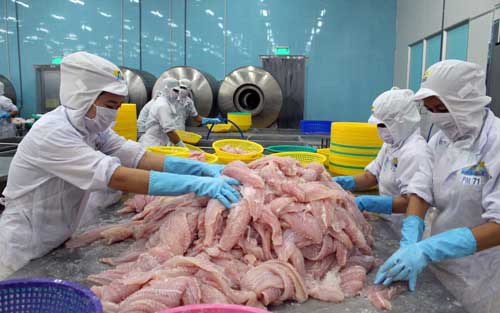 Quản lý thủy sản xuất khẩu: Hết thời &#34;coi rẻ&#34; thị trường Trung Quốc - 1