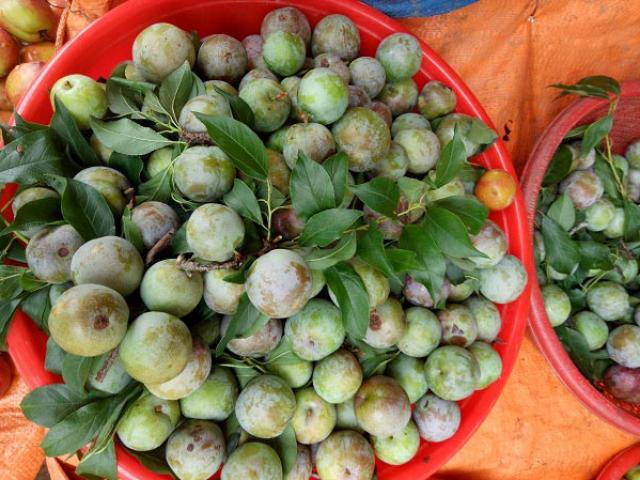 Thị trường - Tiêu dùng - Mận hậu đầu mùa "đắt xắt ra miếng" nhưng vẫn không có để bán