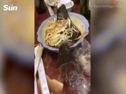 Phi thường - kỳ quặc - Phát hoảng khi thấy cá nấu chín bỗng nhảy khỏi đĩa