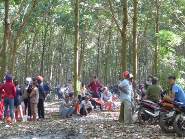 Pháp luật - Tin mới nhất vụ cô gái cùng bạn trai bị cắt tai, đánh đập trong rừng