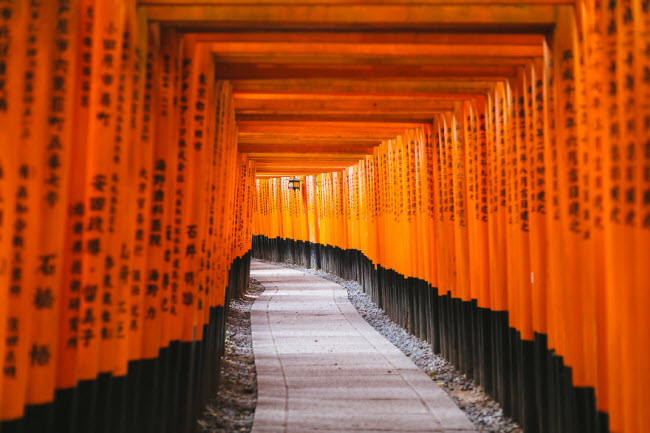 Cổng nhiều lớp của ngôi đền Fushimi Inari ở Kyoto.