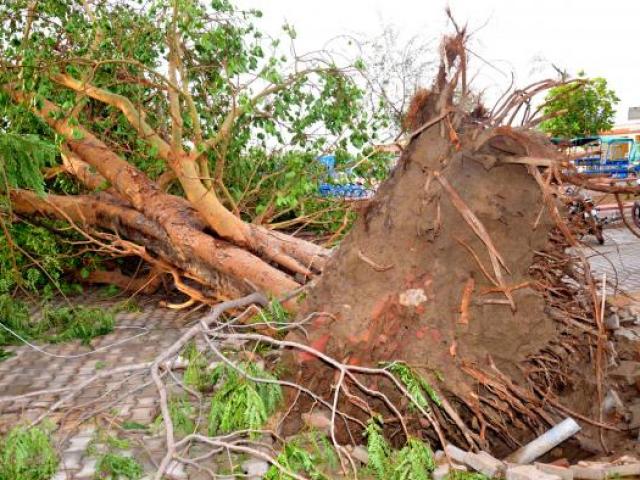 Thế giới - Thảm họa “kỳ dị” giết hơn 100 người ở Ấn Độ