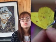 Bạn trẻ - Cuộc sống - Nữ sinh giết chết 500 con bướm để vẽ tranh &quot;tái sinh&quot;