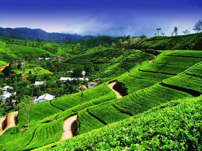 Không phải Thái Lan, đây là những địa điểm du lịch đẹp ‘rụng rời’ phải đi hè này - 10