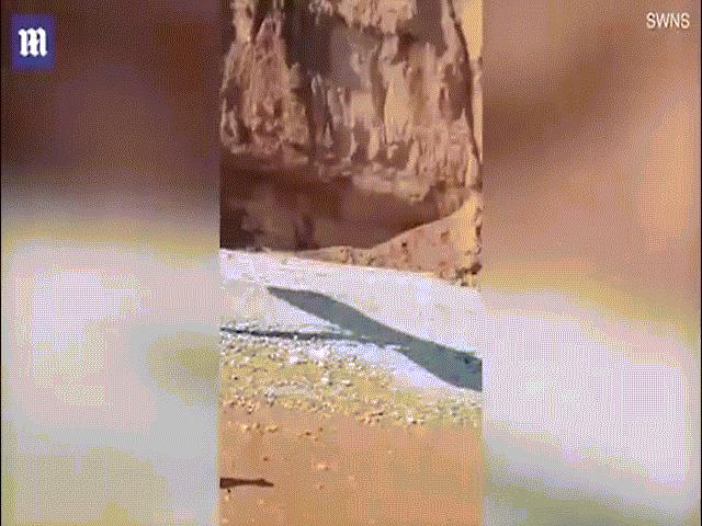 Thế giới - Du khách Anh hết hồn thấy máy bay hạ cánh trên bờ biển