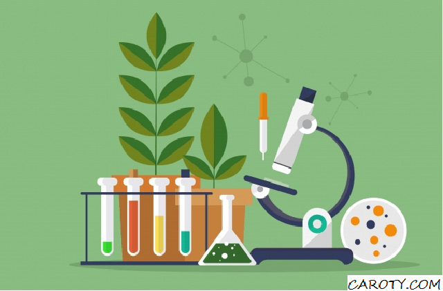 3 điều tưởng không sai mà “sai không tưởng” về giảm cân - 2