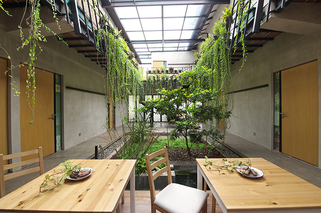 Nhằm đáp ứng mong muốn của khách hàng có sân vườn ngay trong nhà, kiến ​​trúc sư đã thiết kế một khu vườn nhỏ ngay giữa tầng 1, phía dưới giếng trời.