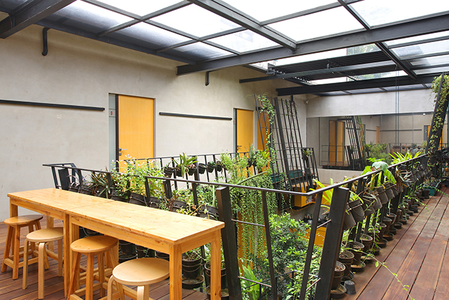 Tầng 2 cũng có một vườn treo nhỏ đầy cây xanh và bàn ghế cho khách trọ thư giãn thưởng thức hoa cỏ thiên nhiên.