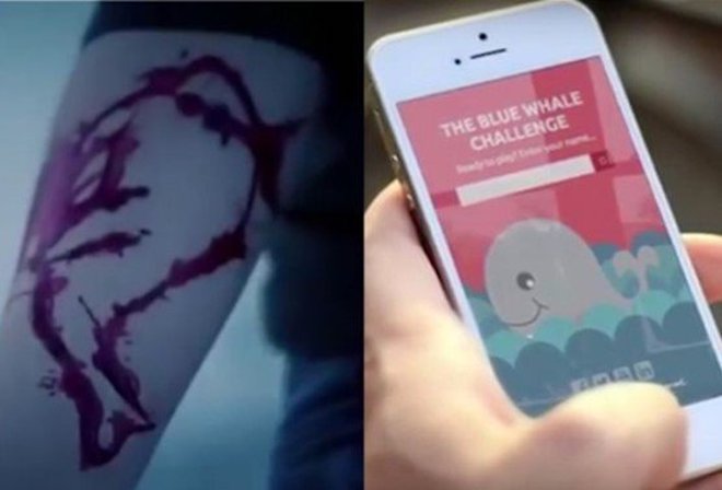 Thực hư game "Cá voi xanh" khiến người chơi "chết dần chết mòn" đã vào VN? - 1