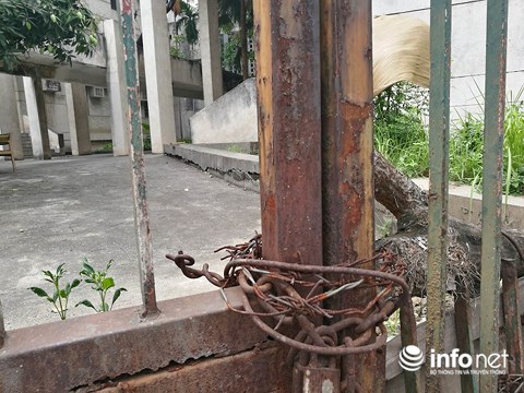 Bộ Ngoại giao tiếp nhận ngôi &#34;nhà ma&#34; số 300 Kim Mã - 3