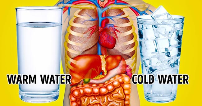 Nước ấm, nước lạnh - bạn có biết lựa chọn nào tốt nhất cho cơ thể? - 9