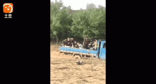 Thực tế phì cười của những màn cưỡi ngựa hoành tráng - 12