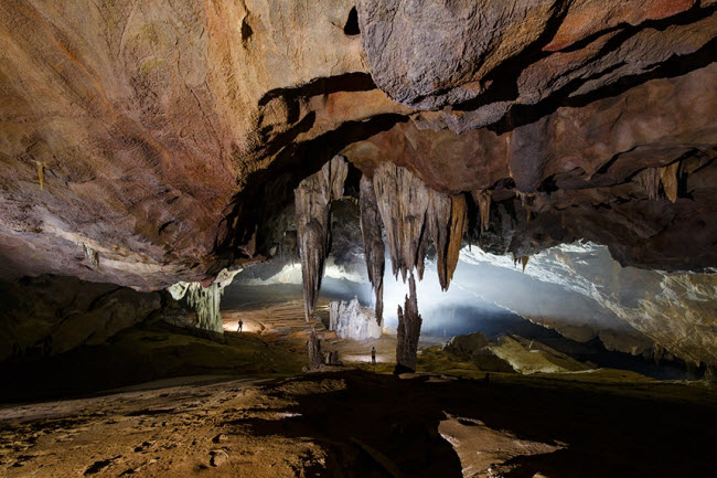 Rất nhiều dơi làm tổ trong hang động.