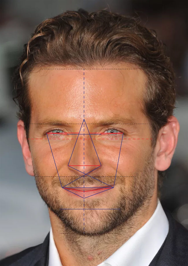 Anh có gương mặt đạt tỷ lệ 91.80%. Khuôn mặt của Bradley rất ấn tượng với đường nét đặc trưng của vẻ đẹp Anh.