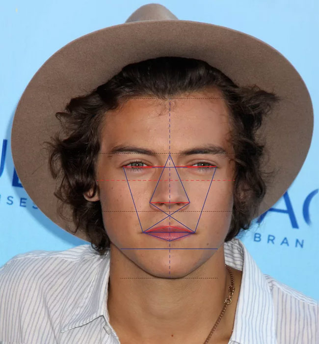 Tuy nhiên đôi mắt của Harry đẹp nhất thế giới với tỷ lệ 98.15% và cằm đẹp nhất với 99.7%.