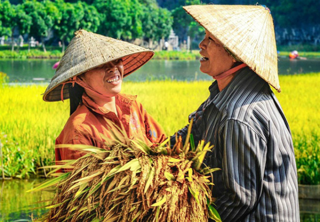 Hội nghị Dầu Gạo Quốc tế lần thứ 5 tổ chức tại Việt Nam - 1