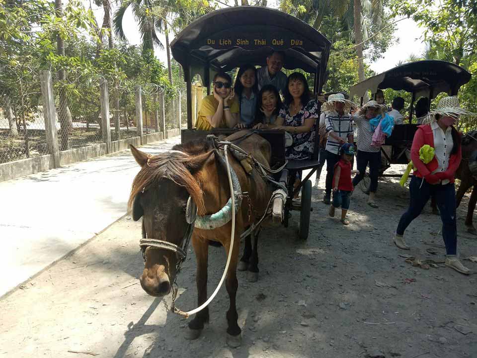 Về cù lao Thới Sơn lắc lư trên xe ngựa, thong dong ngắm miệt vườn - 3