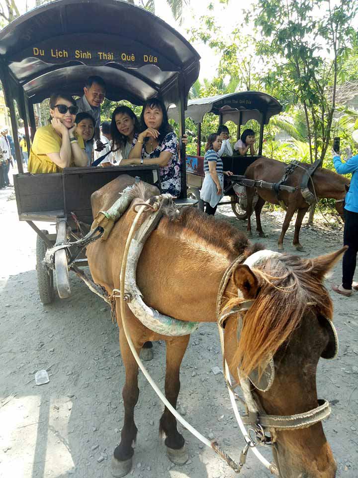 Về cù lao Thới Sơn lắc lư trên xe ngựa, thong dong ngắm miệt vườn - 5