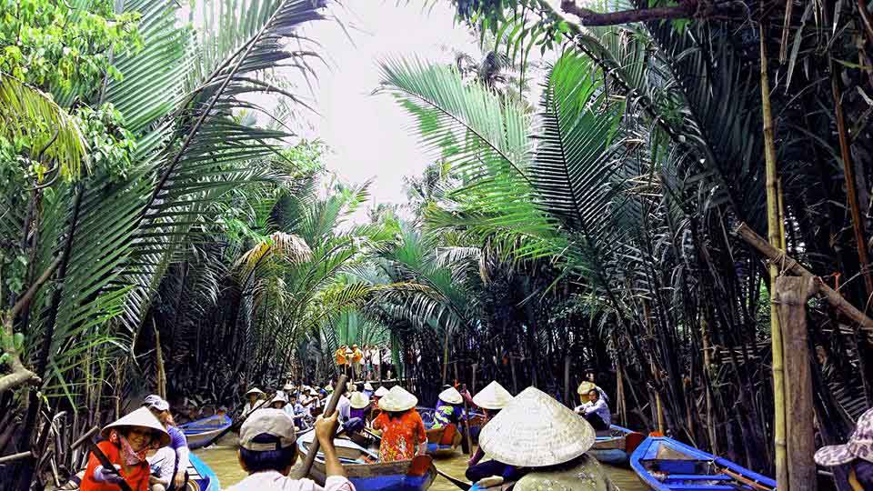 Về cù lao Thới Sơn lắc lư trên xe ngựa, thong dong ngắm miệt vườn - 7