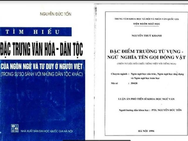 Tin tức trong ngày - GS Trần Ngọc Thêm: "Ông Nguyễn Đức Tồn đạo văn đã rõ ràng"