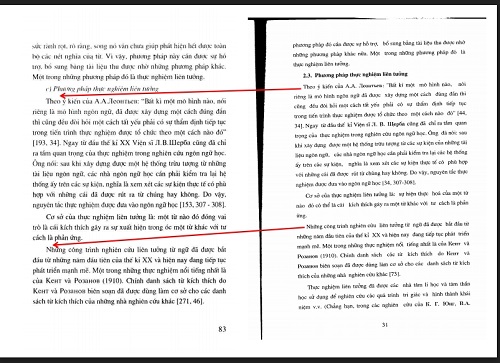 GS Trần Ngọc Thêm: "Ông Nguyễn Đức Tồn đạo văn đã rõ ràng" - 4