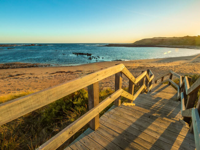 Kitty Miller, Australia: Bãi biển kỳ lạ nằm trên bờ phía nam của hòn đảo Phillip là sự lựa chọn tuyệt vời dành cho những người thích lặn ống thở khám phá. Nơi đây có rạn san hô, vách núi và nước biển lặng.