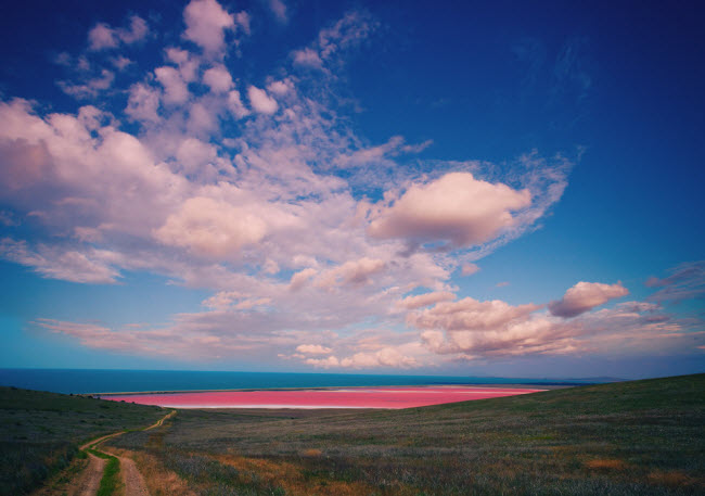 Hồ Spencer, Australia: Nước màu hồng trong hồ Spencer trông có vẻ không tự nhiên, nhưng thực chất màu sắc này là chất carotene được tạo ra bởi tảo.
