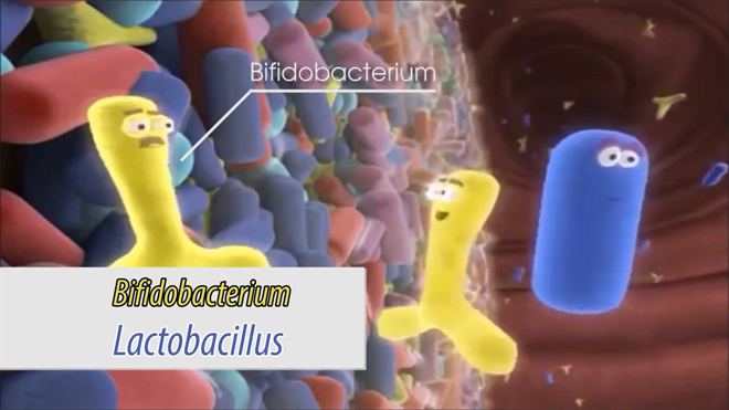Lợi khuẩn Bifido- Cứu cánh cho người viêm đại tràng - 1