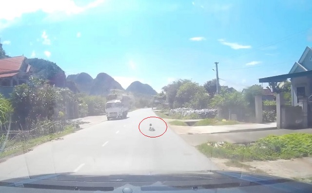 Tài xế hoảng hồn phanh gấp tránh bé 1 tuổi bò trên QL7 - 1