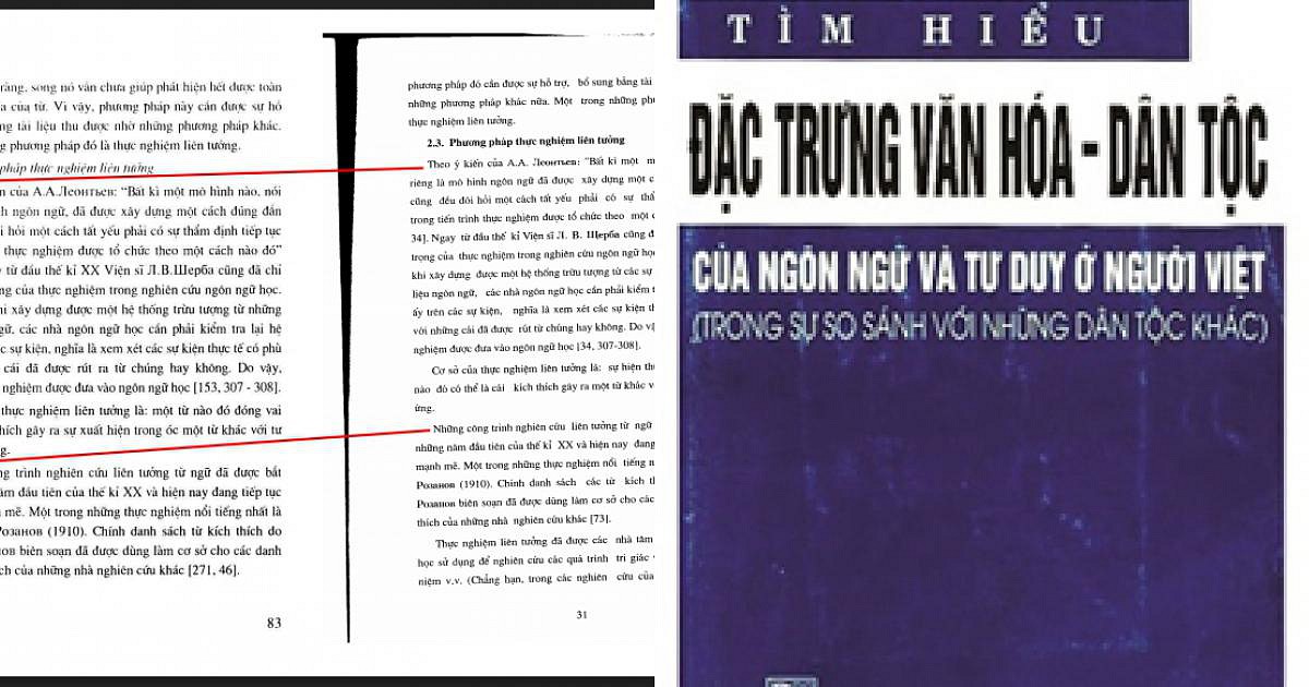 GS Trần Ngọc Thêm: Ông Nguyễn Đức Tồn đạo cả văn của tôi! - 1