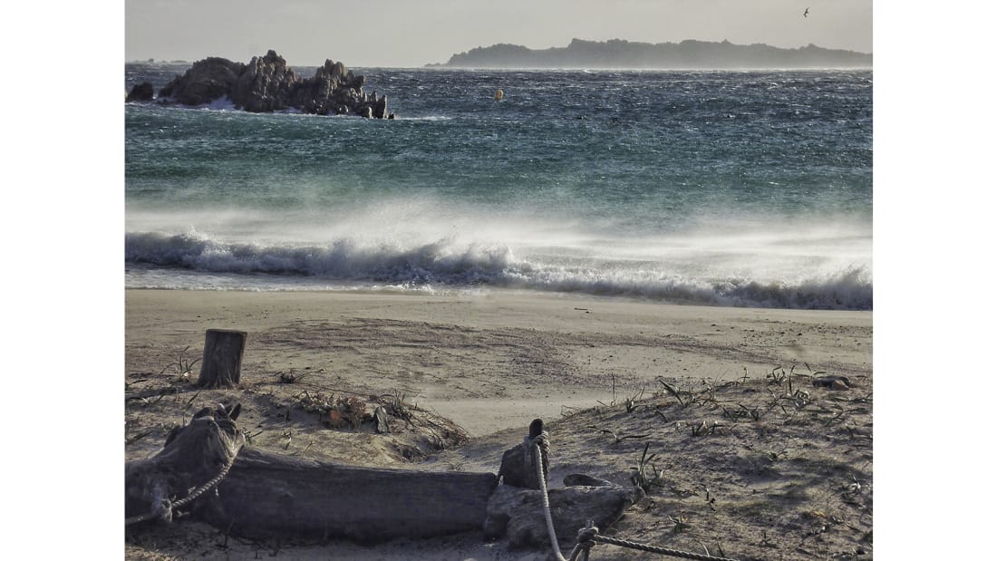 Robinson ngoài đời thực và câu chuyện về 30 năm sống trên đảo hoang một mình - 12