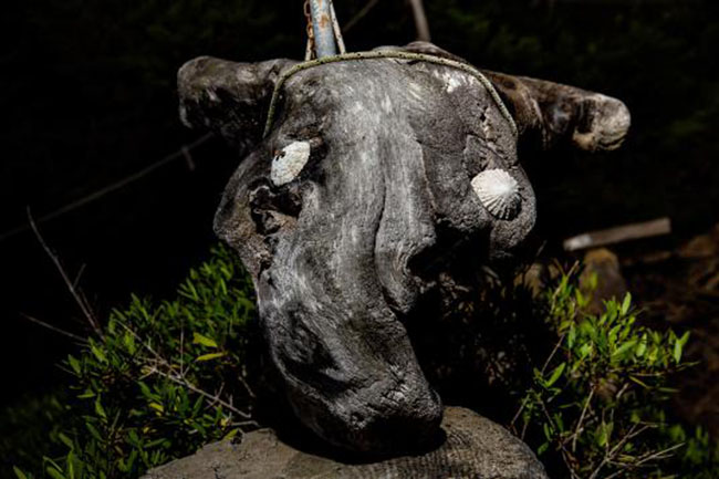 Robinson ngoài đời thực và câu chuyện về 30 năm sống trên đảo hoang một mình - 16