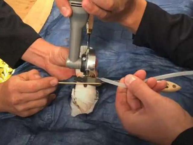 Phi thường - kỳ quặc - Lính cứu hỏa Đức luyện giải cứu "của quý" kẹt trong nhẫn, cổ chai