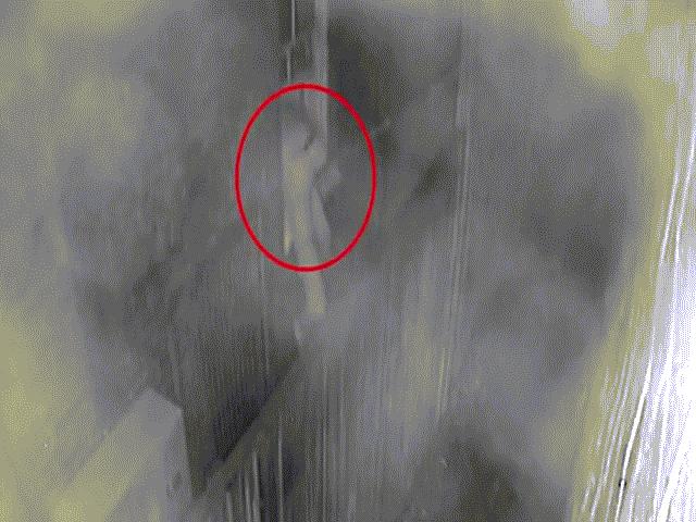 Thế giới - Video: Đang đêm trèo cửa sổ tầng 2 vào phòng sàm sỡ bé gái Úc 8 tuổi