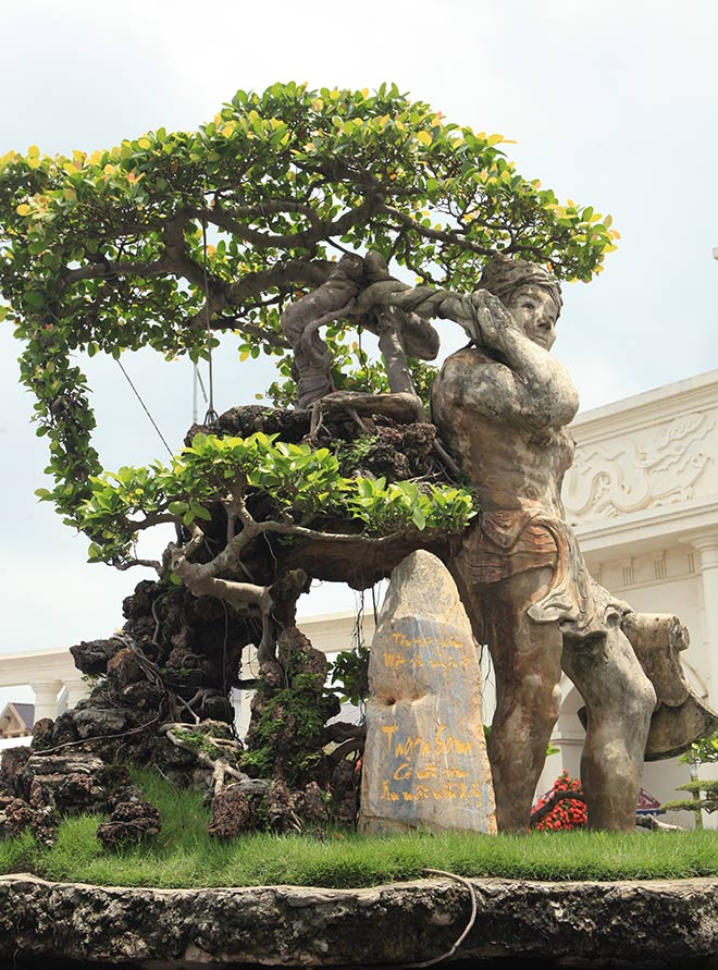 Xôn xao “cây Thạch Sanh” được báo giá hơn 4 tỉ ở Hải Dương - 2