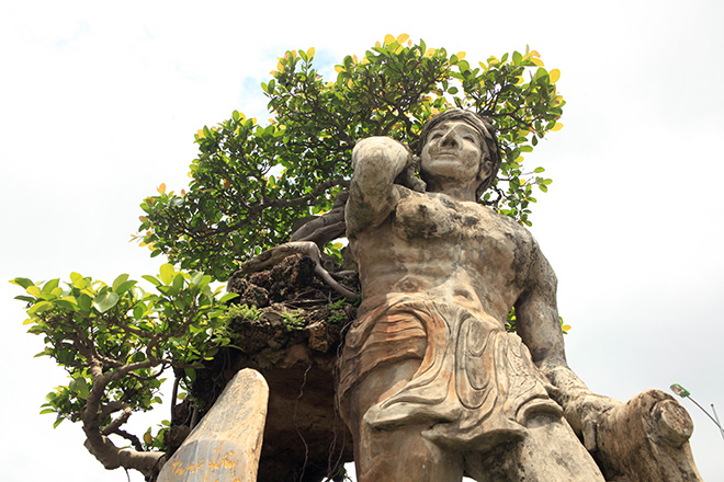 Xôn xao “cây Thạch Sanh” được báo giá hơn 4 tỉ ở Hải Dương - 3