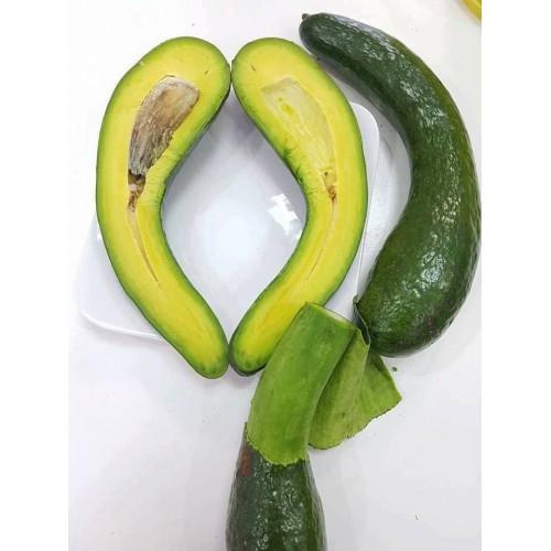 Mùa bơ dẻo ngon thượng hạng, giá 120.000 đồng/kg không có mà mua - 2