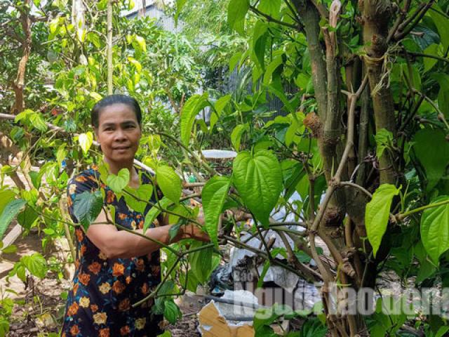 Tin tức trong ngày - Kỳ lạ người phụ nữ không ăn cơm nhưng vẫn khỏe mạnh, tăng cân