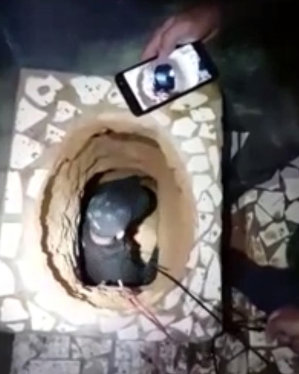 Đào toilet vượt ngục, tù nhân Brazil chết thảm - 1