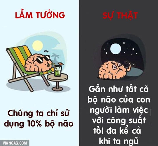 12 lầm tưởng hài hước về cơ thể người đến nay vẫn có người tin “sái cổ” - 3